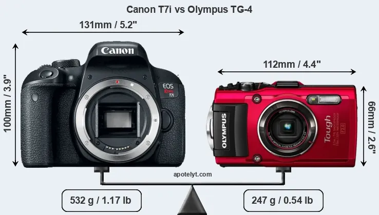 Size Canon T7i vs Olympus TG-4