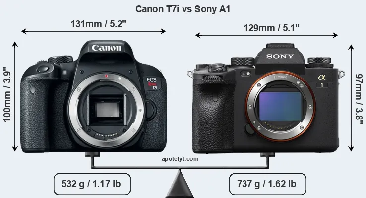 Size Canon T7i vs Sony A1