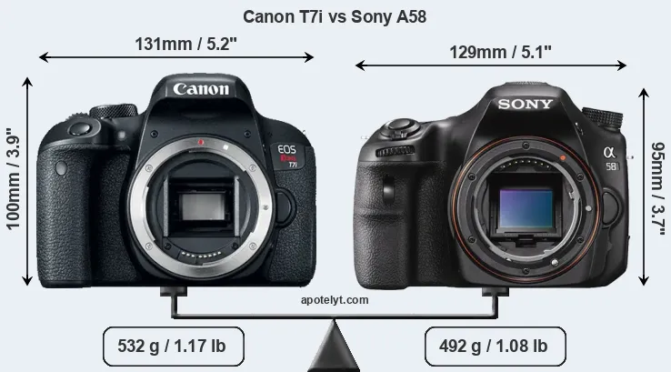 Size Canon T7i vs Sony A58