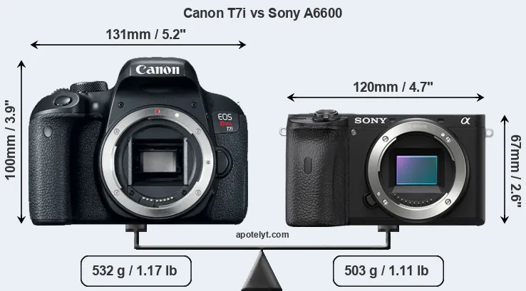 Size Canon T7i vs Sony A6600
