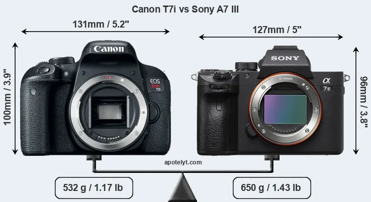 Size Canon T7i vs Sony A7 III