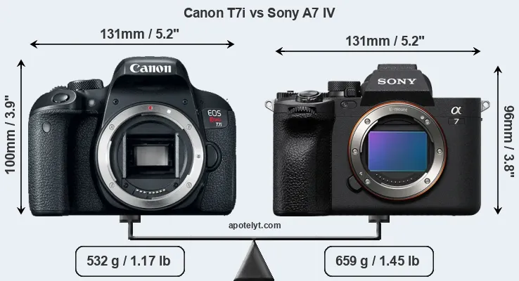 Size Canon T7i vs Sony A7 IV