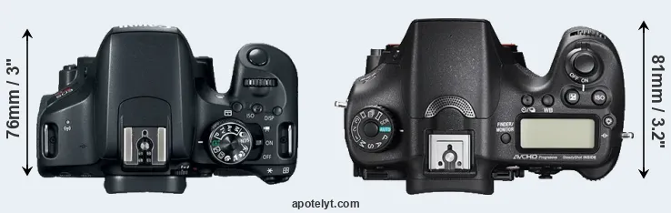 Compare T7i versus A77 II top