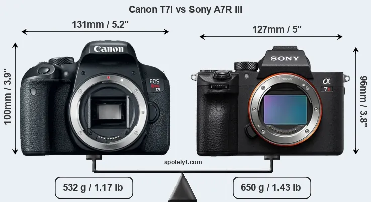 Size Canon T7i vs Sony A7R III