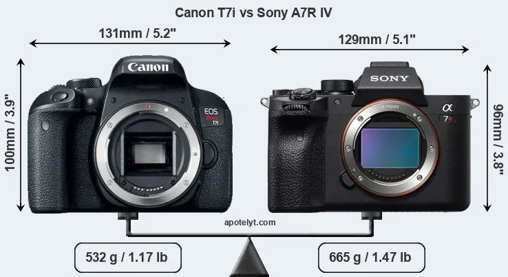 Size Canon T7i vs Sony A7R IV