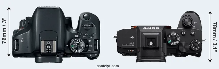 Compare T7i versus A7R IV top