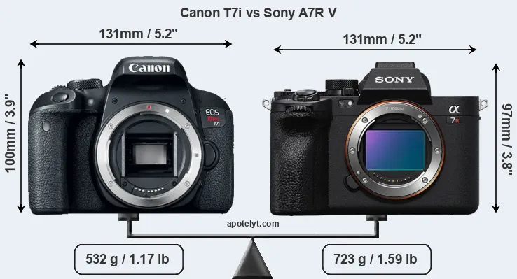 Size Canon T7i vs Sony A7R V
