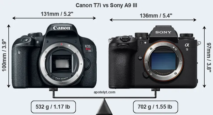 Size Canon T7i vs Sony A9 III