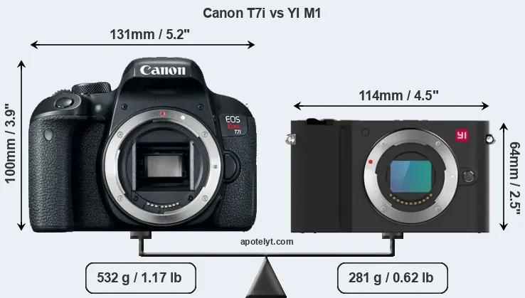 Size Canon T7i vs YI M1