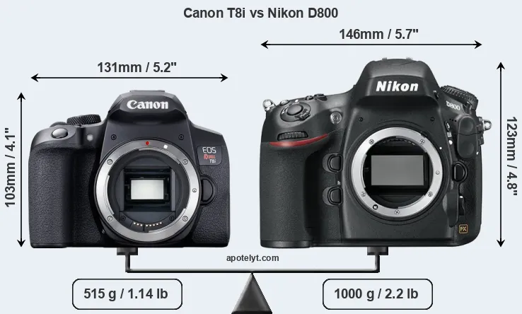 Size Canon T8i vs Nikon D800