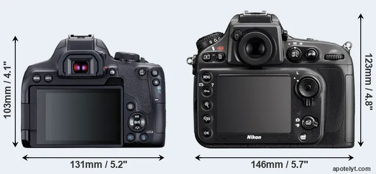 Comparison T8i or D800 rear