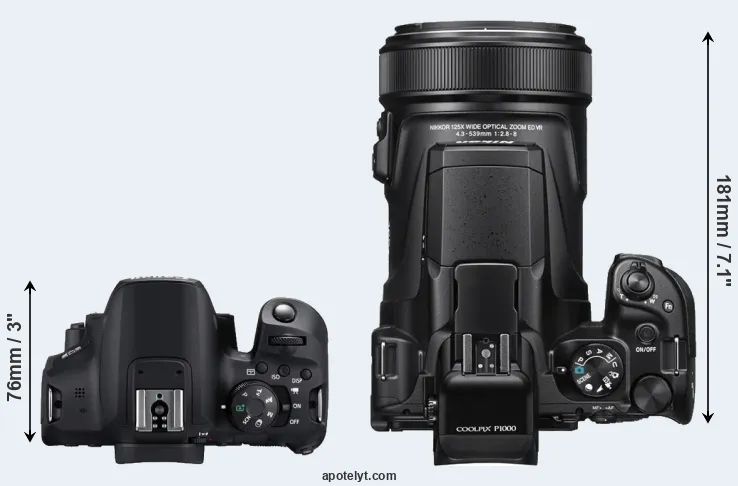 Compare T8i versus P1000 top