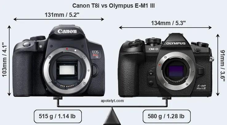 Size Canon T8i vs Olympus E-M1 III