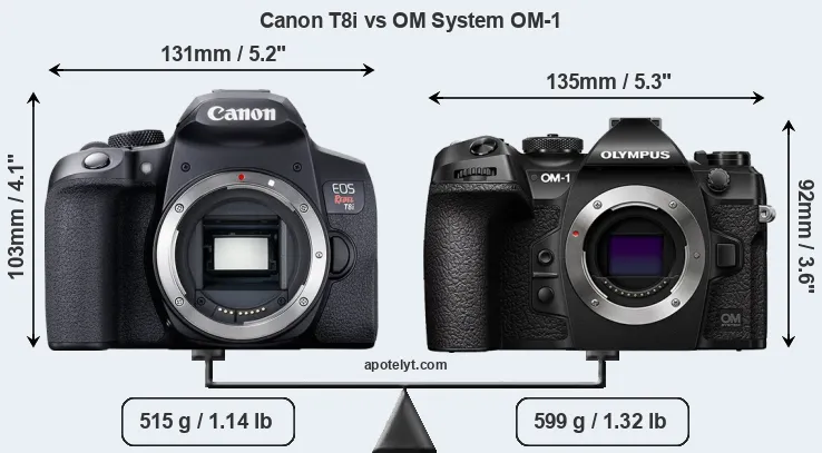 Size Canon T8i vs OM System OM-1