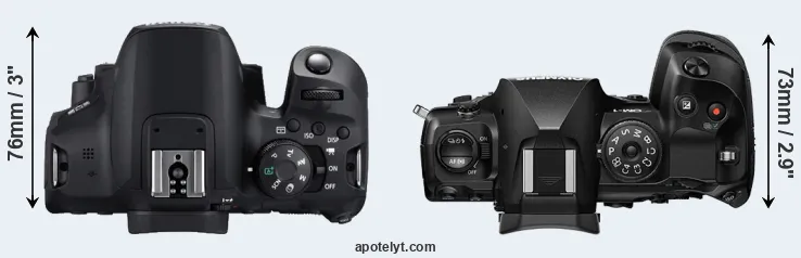Compare T8i versus OM-1 top