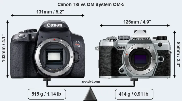 Size Canon T8i vs OM System OM-5