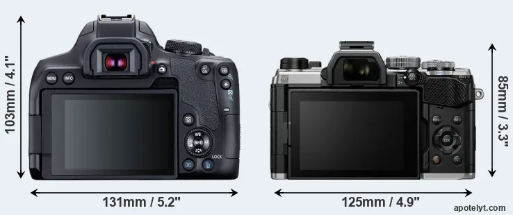 Comparison T8i or OM-5 rear