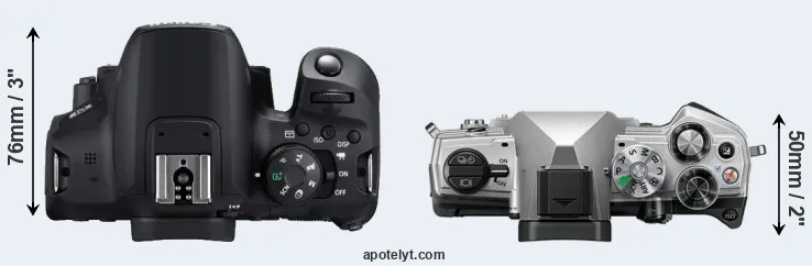 Compare T8i versus OM-5 top