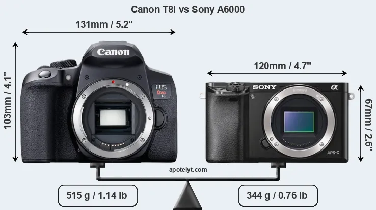 Size Canon T8i vs Sony A6000