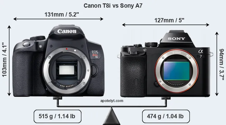 Size Canon T8i vs Sony A7