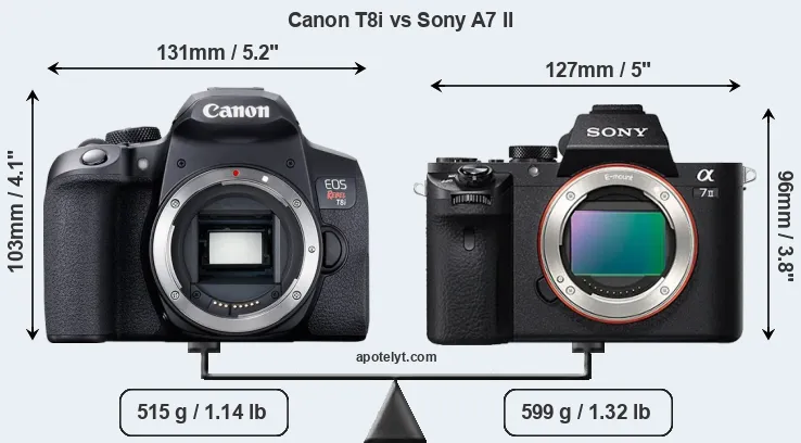 Size Canon T8i vs Sony A7 II