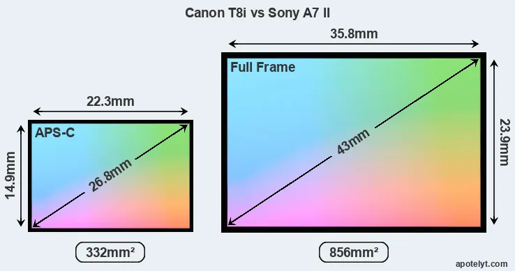Canon T8i and Sony A7 II sensor measures