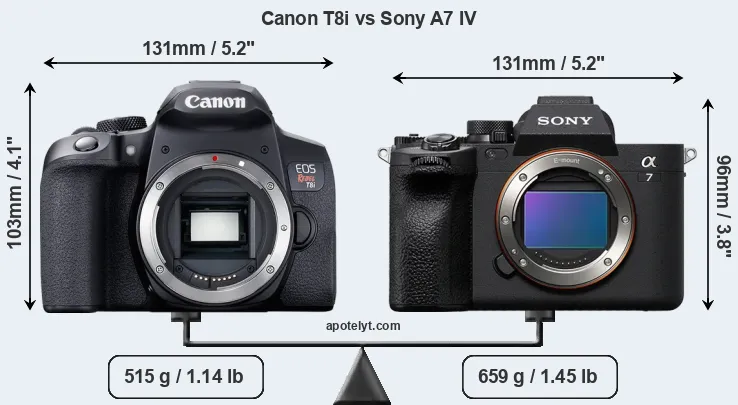 Size Canon T8i vs Sony A7 IV