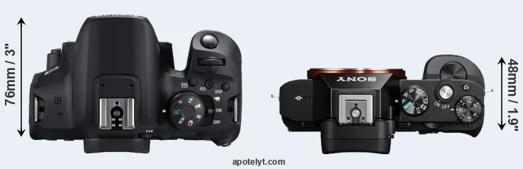 Compare T8i versus A7 top