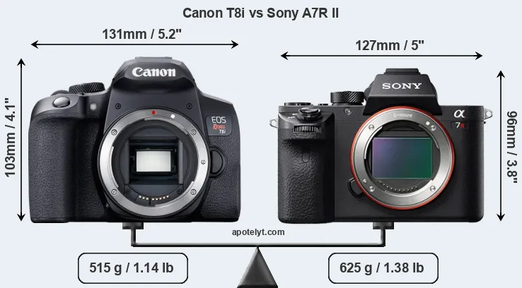 Size Canon T8i vs Sony A7R II