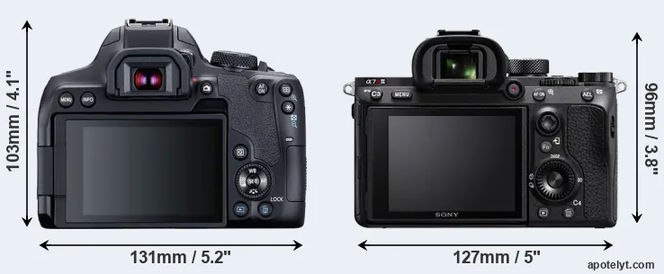 Comparison T8i or A7R III rear