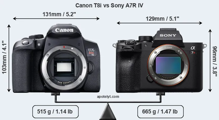 Size Canon T8i vs Sony A7R IV