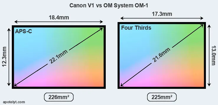 Canon V1 and OM System OM-1 sensor measures