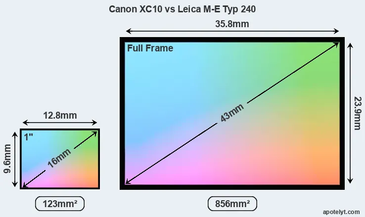 Canon XC10 and Leica M-E Typ 240 sensor measures