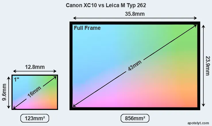 Canon XC10 and Leica M Typ 262 sensor measures
