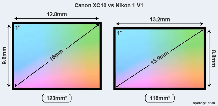 Canon XC10 and Nikon 1 V1 sensor measures
