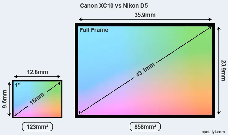 Canon XC10 and Nikon D5 sensor measures