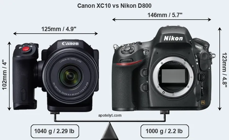 Size Canon XC10 vs Nikon D800