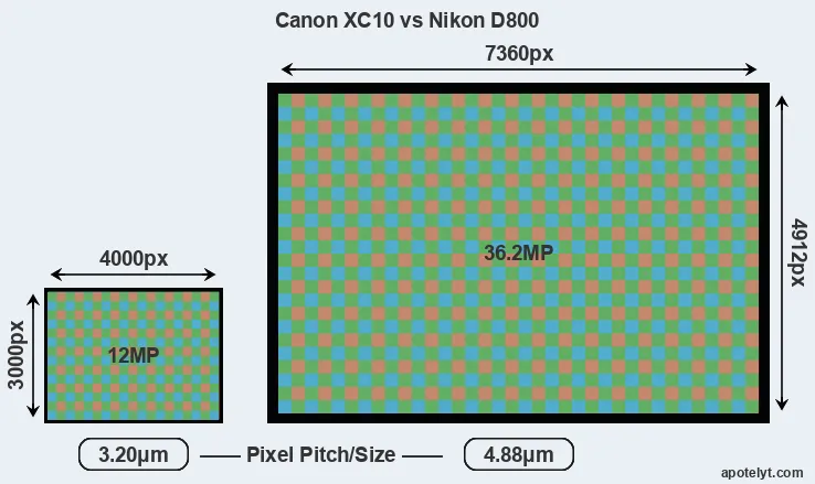 XC10 versus D800 MP