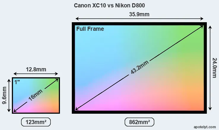 Canon XC10 and Nikon D800 sensor measures