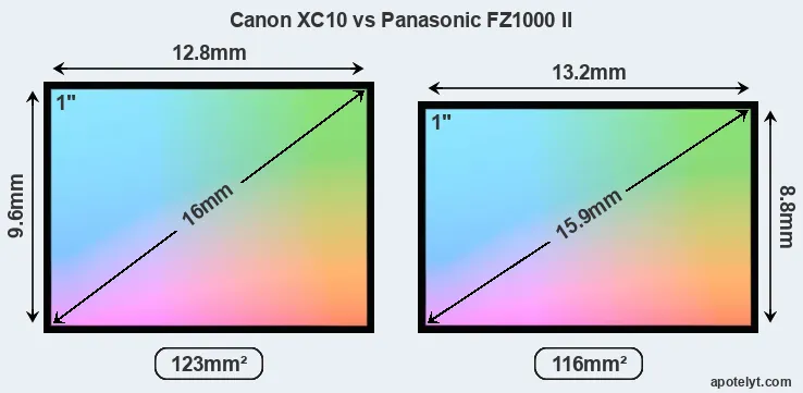 Canon XC10 and Panasonic FZ1000 II sensor measures