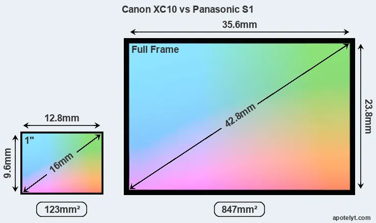 Canon XC10 and Panasonic S1 sensor measures