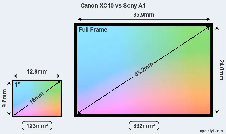 Canon XC10 and Sony A1 sensor measures