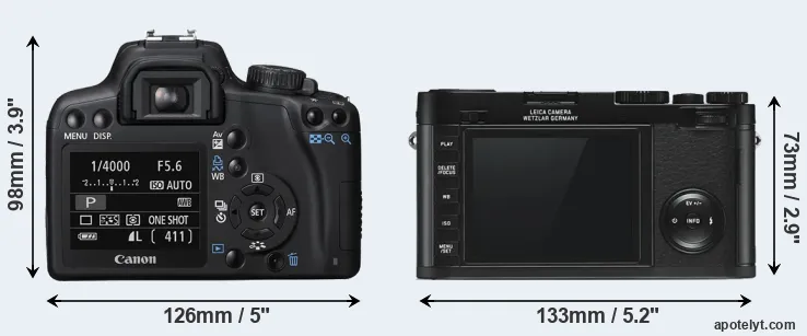 Comparison XS or X Typ 113 rear