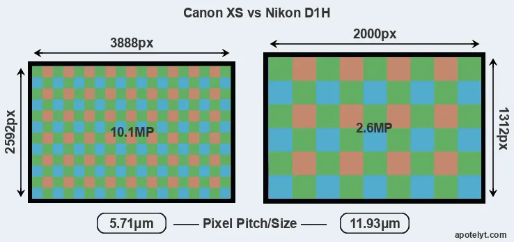 XS versus D1H MP