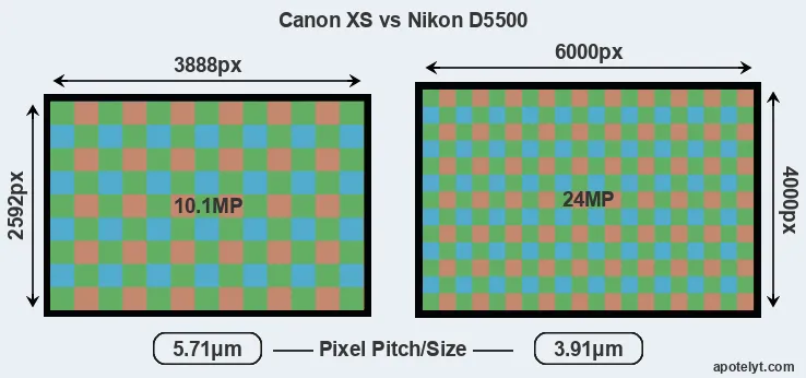 XS versus D5500 MP