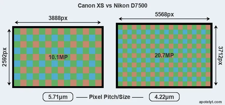 XS versus D7500 MP