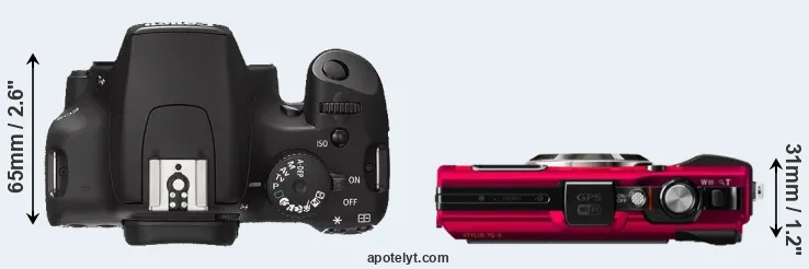 Compare XS versus TG-4 top