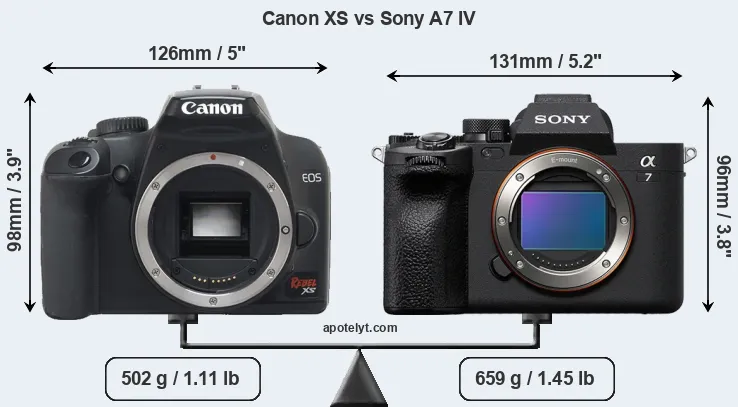 Size Canon XS vs Sony A7 IV