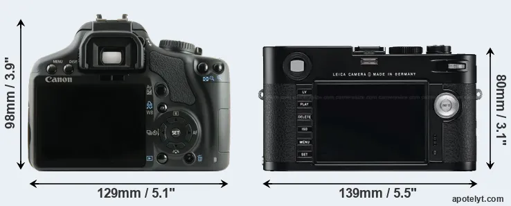 Comparison XSi or M Typ 240 rear