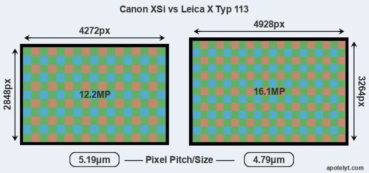 XSi versus X Typ 113 MP